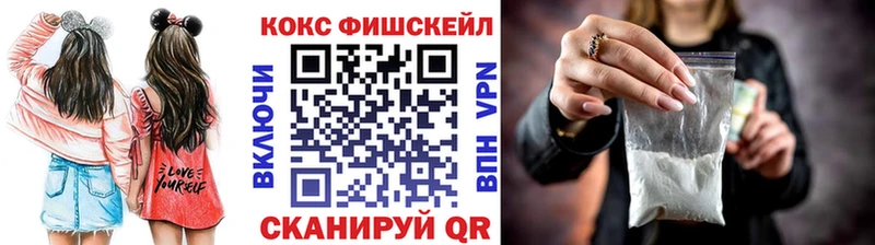 купить наркотики сайты  Грязовец  КОКАИН Fish Scale 