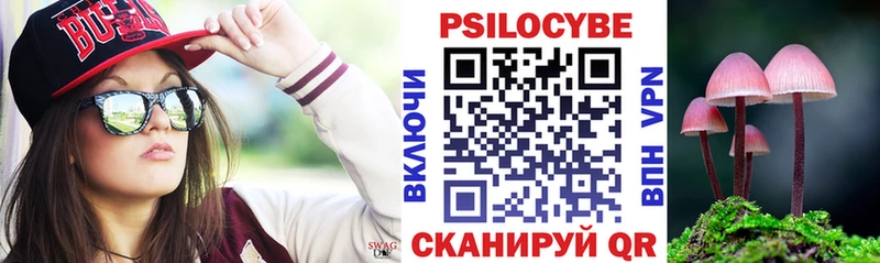 Псилоцибиновые грибы Magic Shrooms  kraken рабочий сайт  Грязовец 